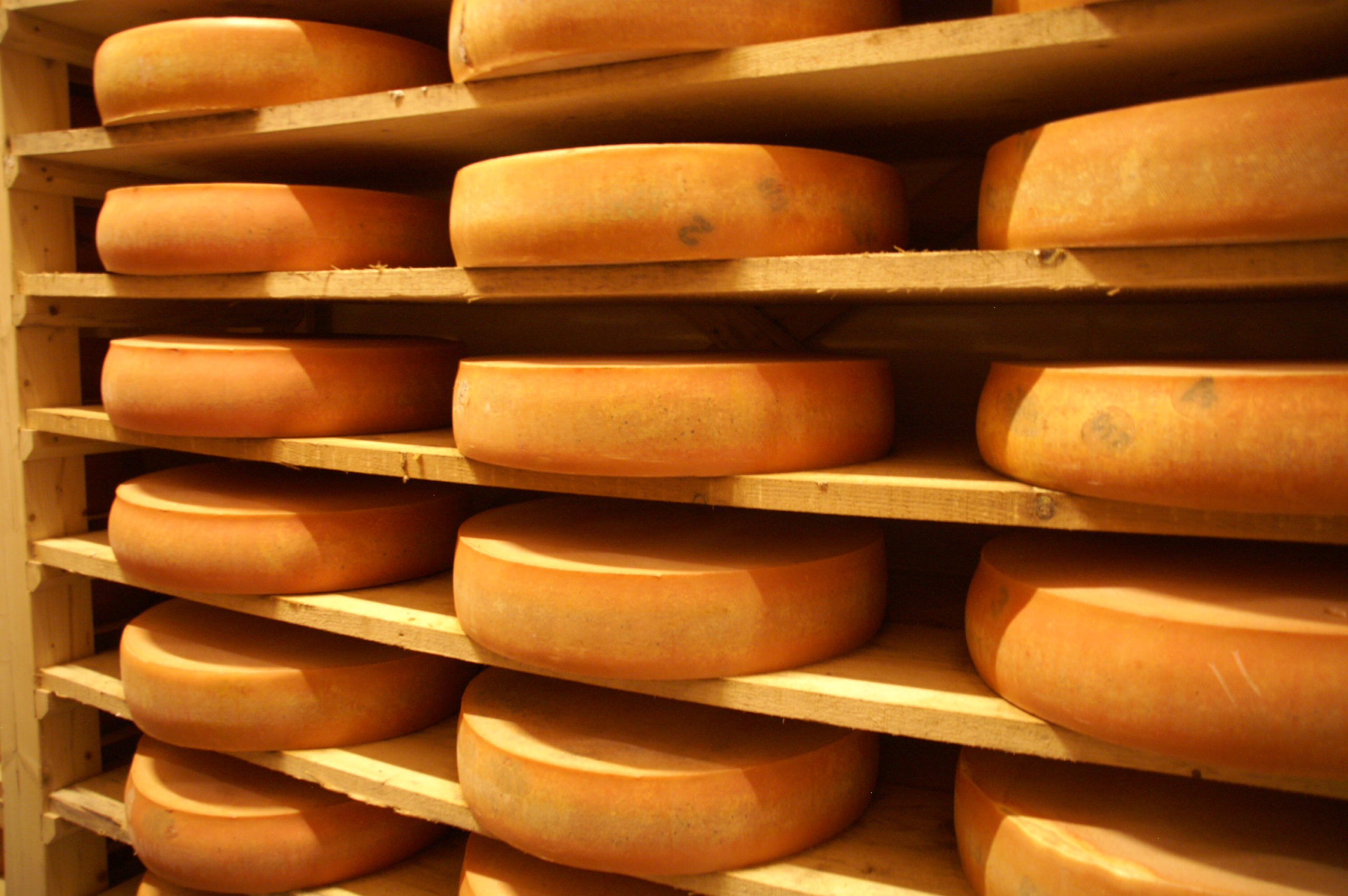 La différence Gruyère Emmental expliquée simplement