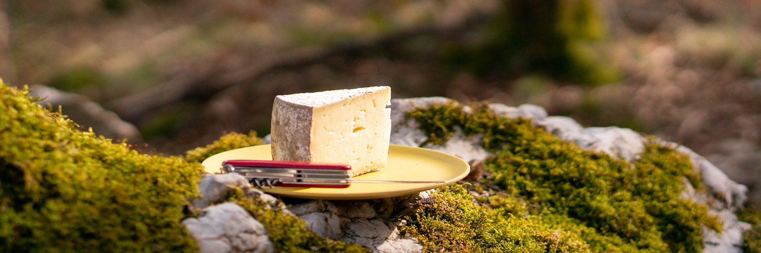 La tomme de montagne, de quoi en faire tout un fromage