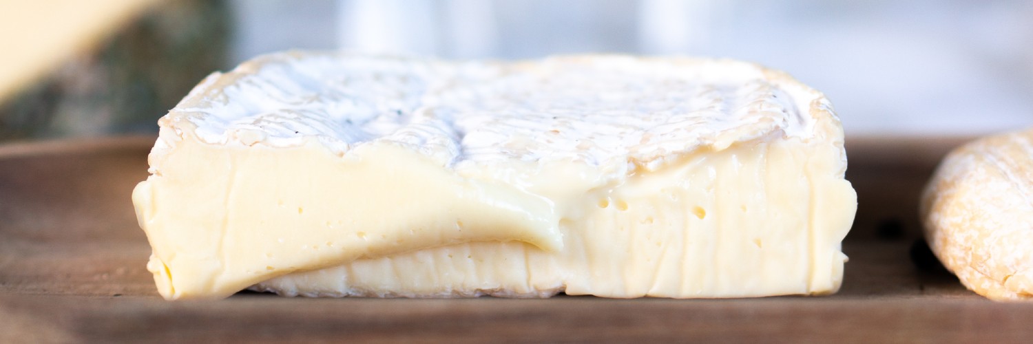 Tout savoir sur les fromages à pâte molle