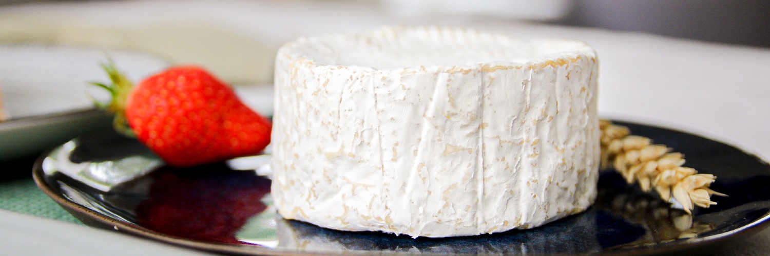 Le Camembert : tout savoir sur une icône fromagère