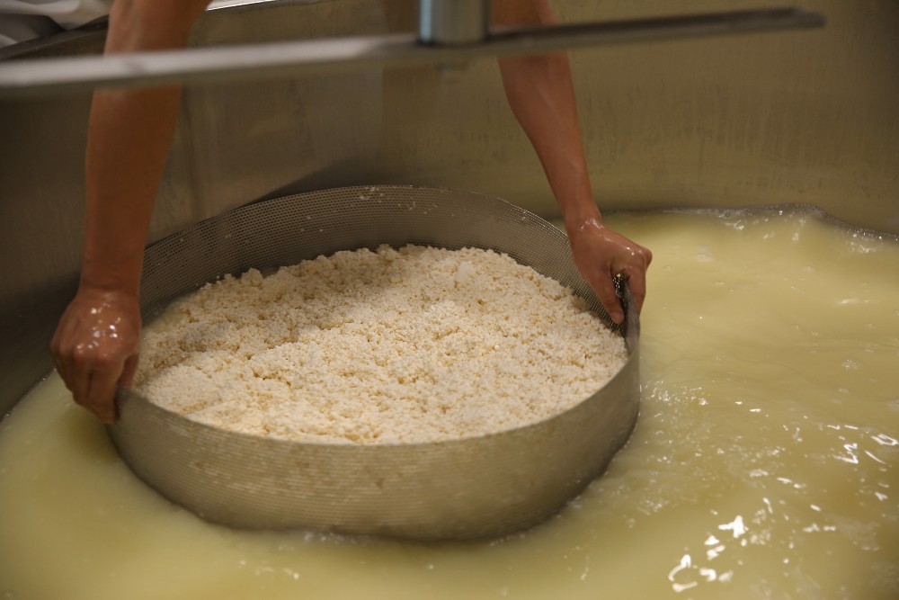 Fabrication du fromage étape 3 : l'égouttage