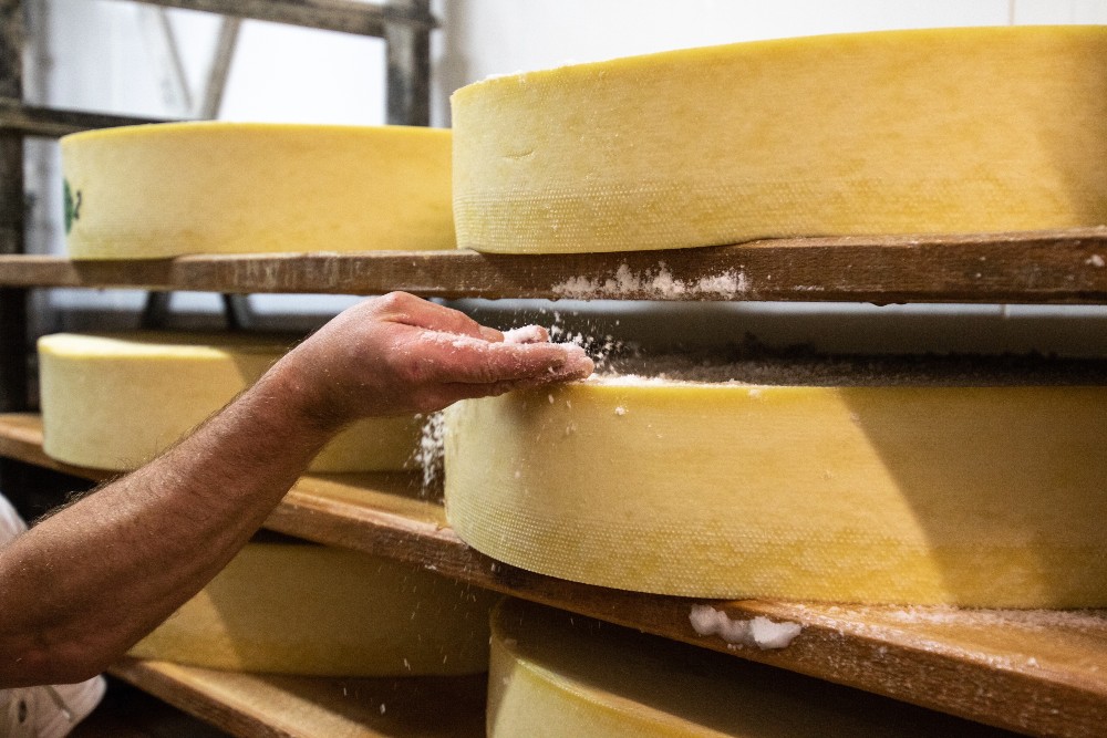 Fabrication du fromage étape 5 : le salage