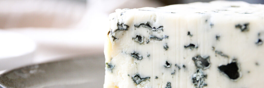 fromage aveyron roquefort