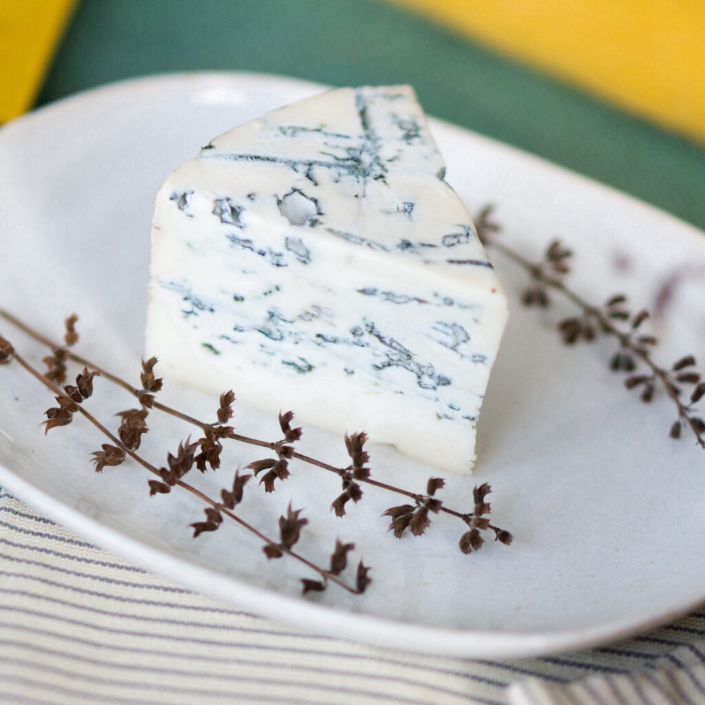 bleu fromage de chèvre