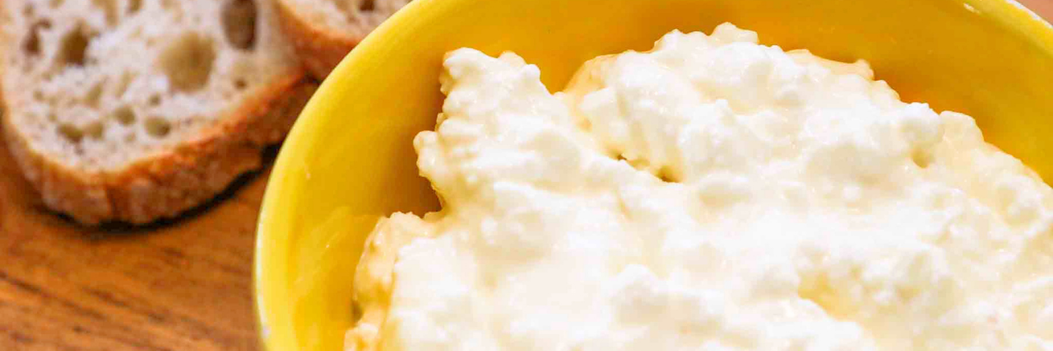 cottage-cheese